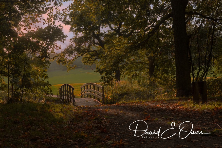 http://davidowen.photos/gallery.html